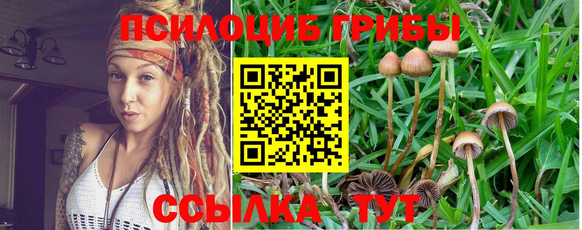 Галлюциногенные грибы Cubensis  дарнет шоп  Саров  Вход с VPN 